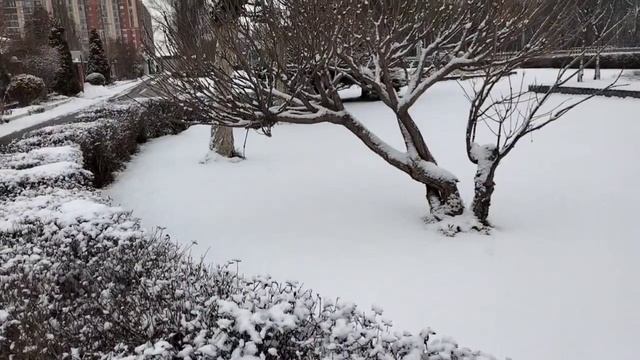 Одеваемся в любовь смотреть онлайн