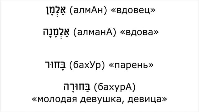Урок № 16 Род одушевлённых существительных смотреть онлайн