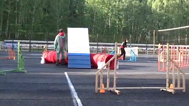 Черных Ольга и пти-брабансон Рута смотреть онлайн