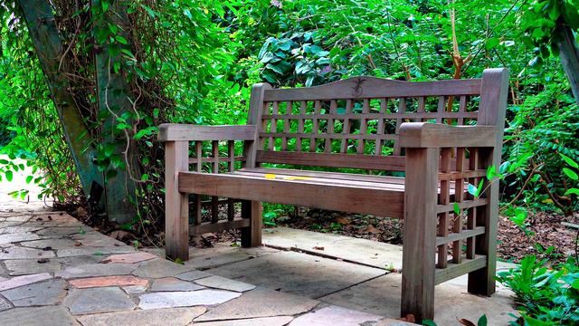 Singapore Botanic Gardens - Trellis Garden - 4K