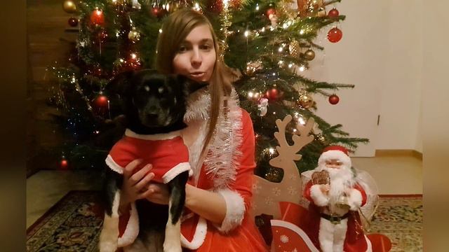 Поздравление от Мухи! 🎉✨🎄🎁 смотреть онлайн