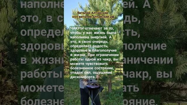 Чакры #виталийалтайский #целительство #чакры смотреть онлайн