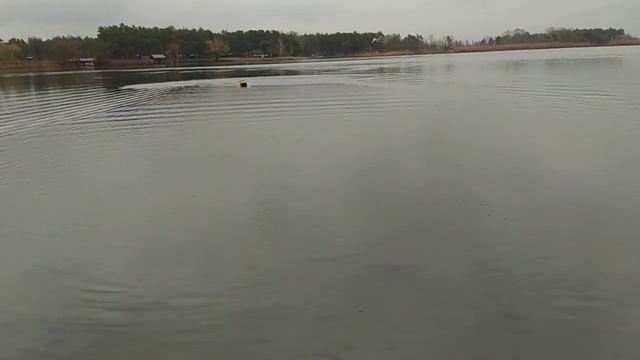 прикормочный кораблик CARP SHIP смотреть онлайн