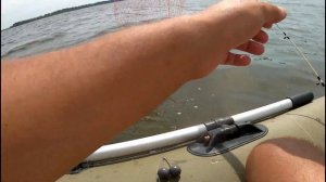 Ловля Леща на кольцо с лодки.Рыбалка на леща.Рыбалка на течений на леща. Кольцо на леща.