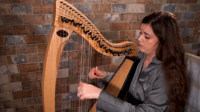 Swan Lake - on Celtic Harp смотреть онлайн