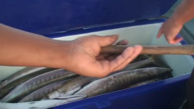 Таиланд, рыбалка на барракуду (Thailad, Pattaya, Barracuda fishing) смотреть онлайн