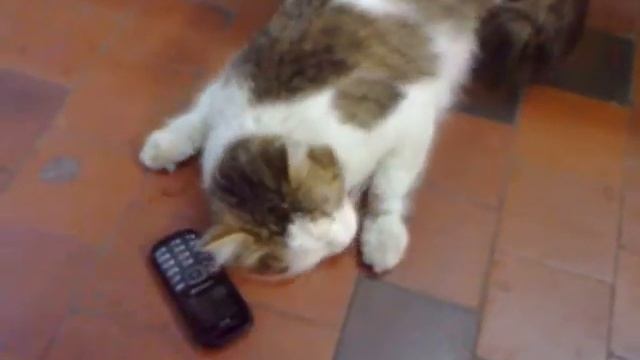 Пришли хотя бы смайлик смотреть онлайн