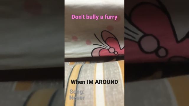 Pls don’t bully a furry cuz my roblox avatar is a furry? смотреть онлайн
