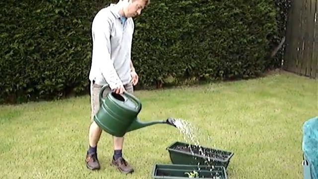 Pc Green Fingers смотреть онлайн