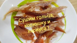 Вяленная корюшка, голец и хариус. Испытание сушилки для рыбы.