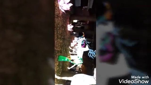 VLOG! Выставка гигантский китайских фонарей!??? смотреть онлайн