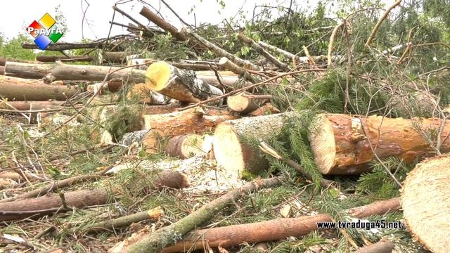 Лес рубят щепки летят. Дачники СНТ Мечта встали на защиту леса вокруг товарищества смотреть онлайн