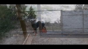 Откатные ворота на винтовых сваях | БЫСТРО и ПРОСТО | В 3 раза дешевле