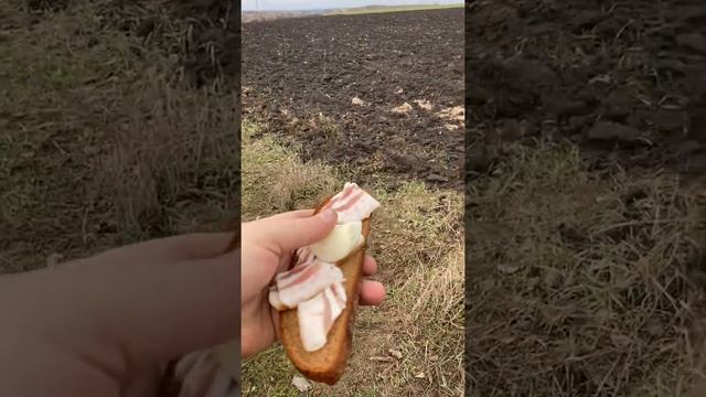 Фуа-гра на копе !! смотреть онлайн