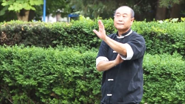 Wushu Master Mu Yuchun - Taijiquan