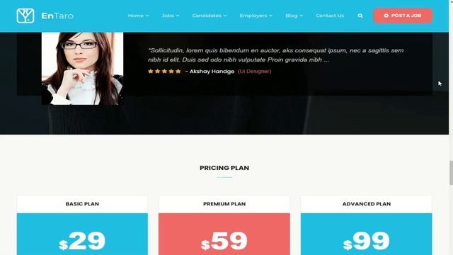 Best Job Board WordPress Theme To Create Job Portal Website смотреть онлайн