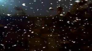 Павел Кашин - Снежинка