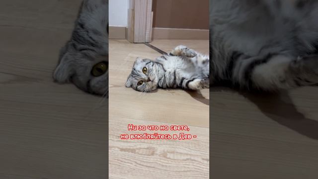 Любим мы девчонки разных мужиков смотреть онлайн