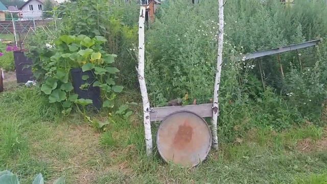 Холодная вода для Огурцов???МИФЫ И РЕАЛЬНОСТЬ. смотреть онлайн