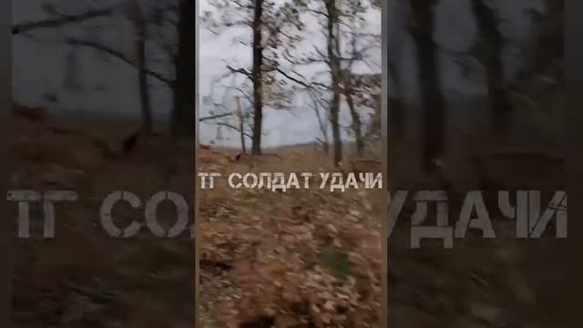 Наступление на Невельском направлении 100 бригады ДНР.MOV смотреть онлайн