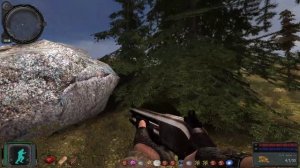 ОП 2.2 яйцо арахнидов местоположение