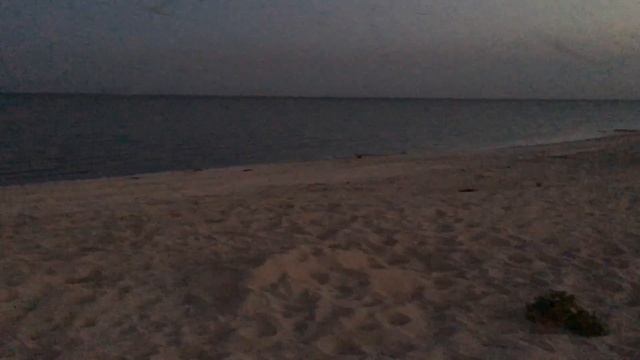 Подёнки, комары-однодневки в Таганроге смотреть онлайн