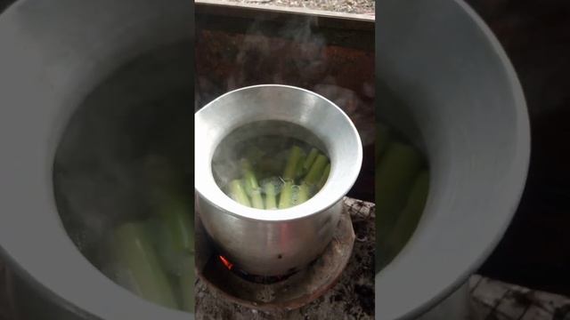 Процесс приготовления сердцевины стеблей бамбука для дальнейших блюд #Таиланд #Pustyrev_travel