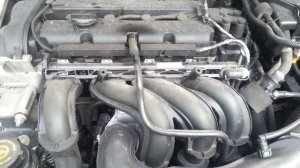 Шумная работа двигателя Ford Focus 1,6 100 л.с. (Duratec)