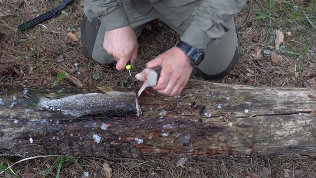 РЫБАЛКА, ЧИЩУ ЩУКУ, ГОЛАВЛЯ И ОКУНЯ MORAKNIV FISHING COMFORT SCALER 150 смотреть онлайн