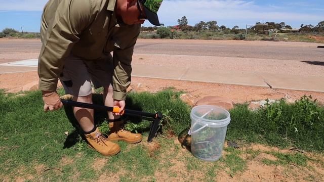 Fiskars Xact Weed Puller // First Look // It Is Great смотреть онлайн