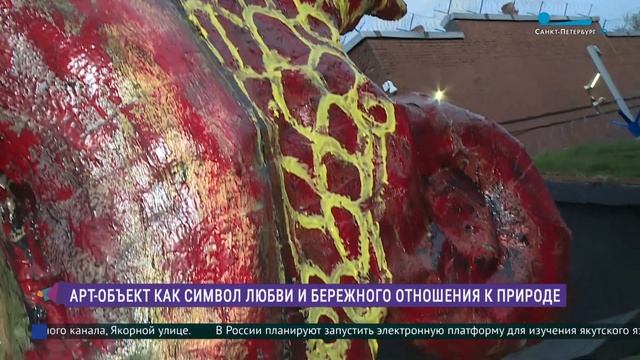 Гигантские улитки на улицах Северной столицы смотреть онлайн