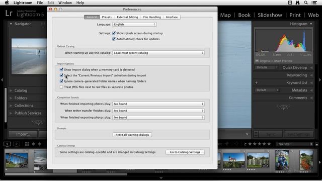 Adobe Lightroom 5: What's New in Lightroom 5 04 Learn ByVideo смотреть онлайн