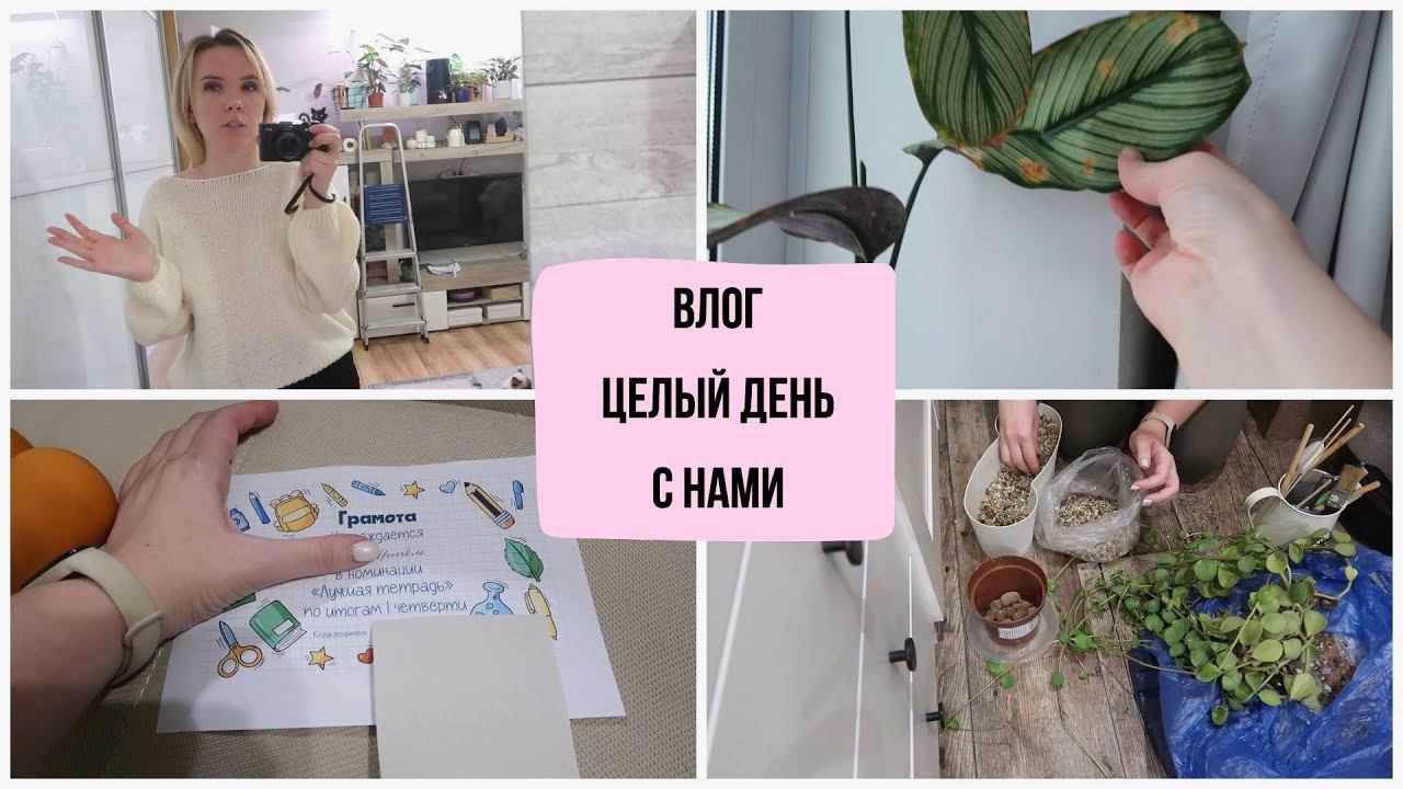 ВЛОГ: весь день с нами / домашние дела / покупки одежды и к Новому году смотреть онлайн