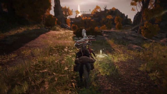 Foreshadowing - Elden Ring Coop Mod - Part 21 смотреть онлайн