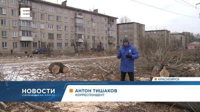 Жители улицы Говорова в Красноярске возмущены вырубкой деревьев энергетиками смотреть онлайн