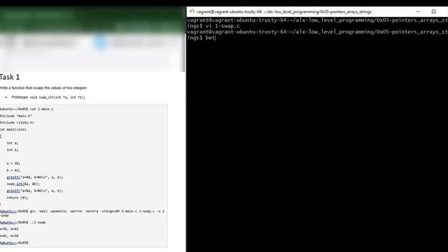 0x05 Pointers, arrays & strings (complete solution) смотреть онлайн