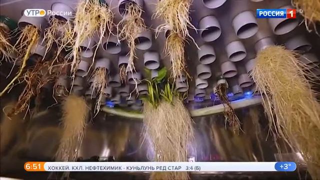 Аэропоника. Лаборатория Ю.Ц. Мартиросяна 27.09.2019 смотреть онлайн
