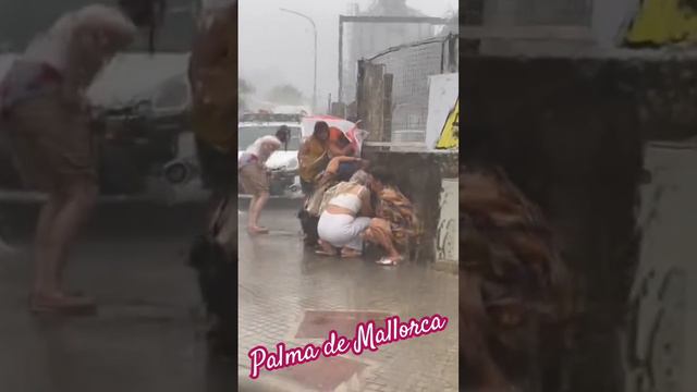 Palma de Mallorca‼️ wind 120 km/h #palmamallorca #mallorca #storm #hurricane смотреть онлайн