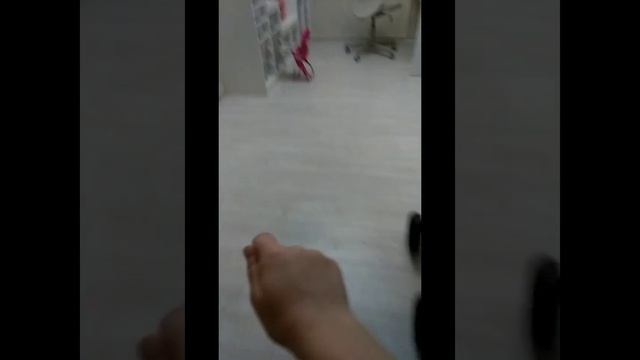 Чуть не потеряла Басика и Милу смотреть онлайн