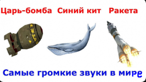 Сравнение самых громких звуков в мире