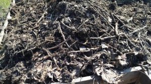 Компостная яма. Биогумус из опавших листьев. Не жгите листву!