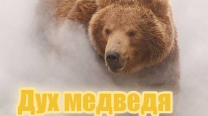 Дух медведя