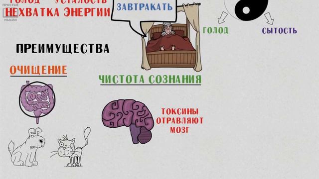 Зачем нужно периодически голодать! смотреть онлайн