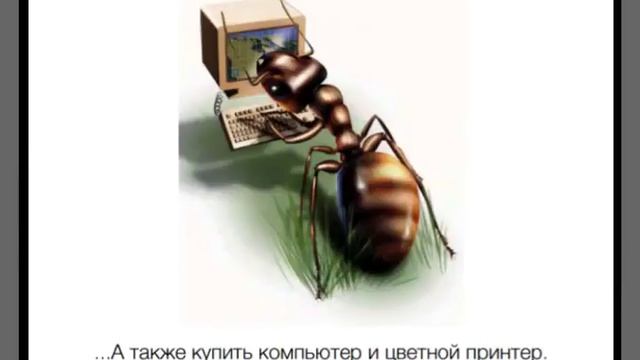 Сказка про муравья. Сказка для взрослых смотреть онлайн