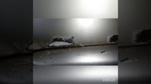 Ваз 2114 дешевый ремонт арок своими руками