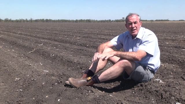 Planting tips for cotton смотреть онлайн