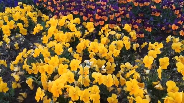 Kelsterbach Almanya / Deutschland смотреть онлайн