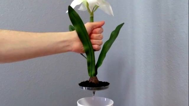 Такой ЛЮТЫЙ ТАЙНИК сложно найти! смотреть онлайн