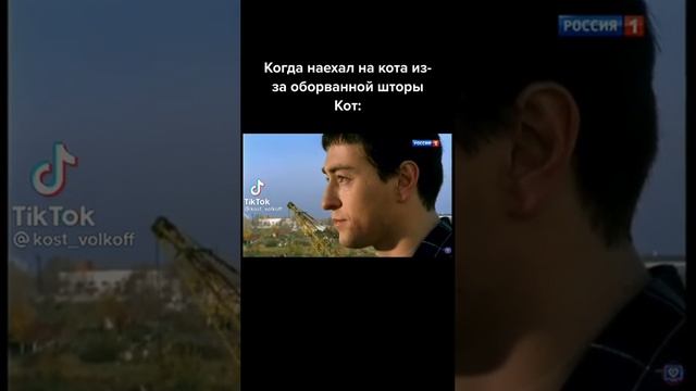 Кот и штора смотреть онлайн