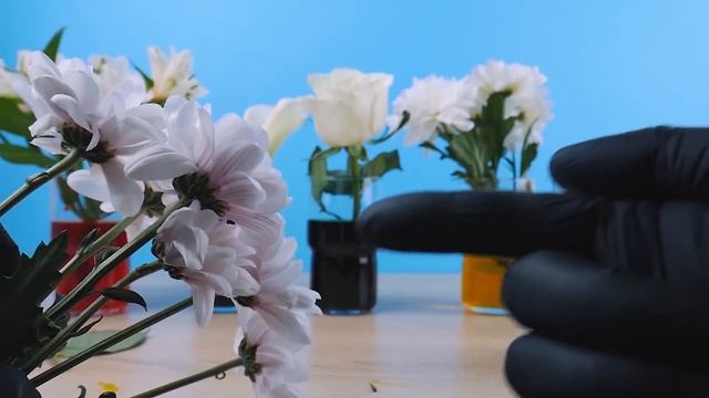 Радужные цветы! Проверяю лайфкаки с цветами! Ожидание и реальность! смотреть онлайн